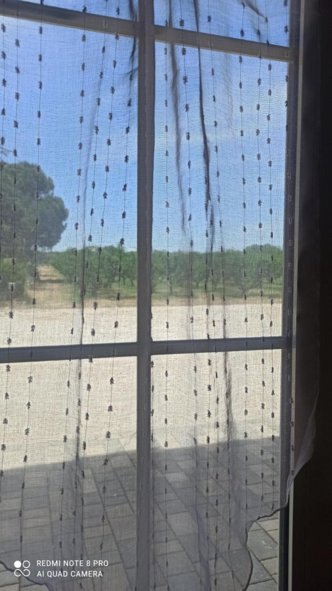 Agriturismo L' Annunziata Lizzano  Zimmer foto